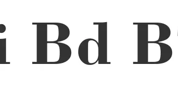 Bodoni Bd BT Bold 字体预览图